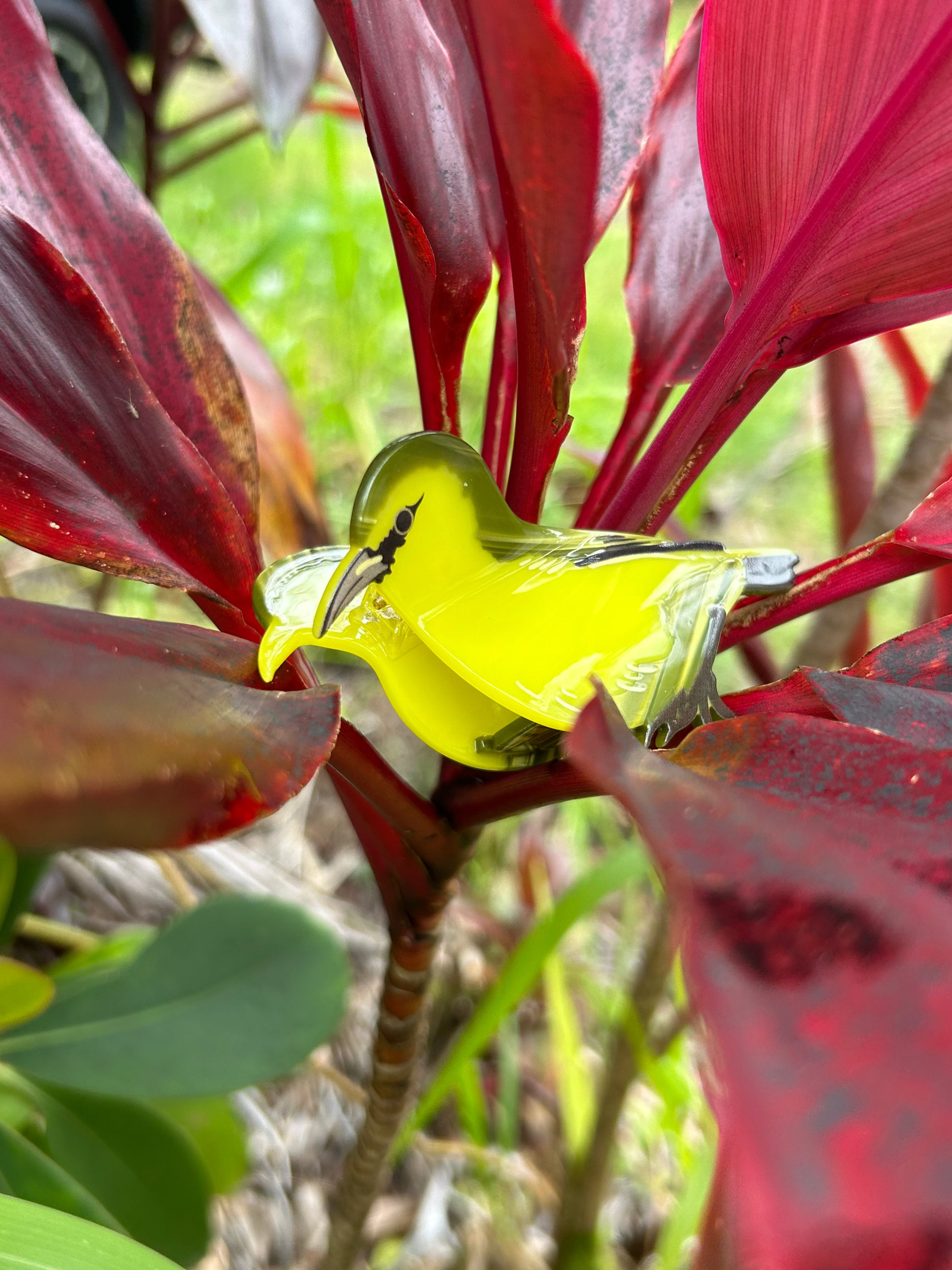 ʻAmakihi Hair Clip