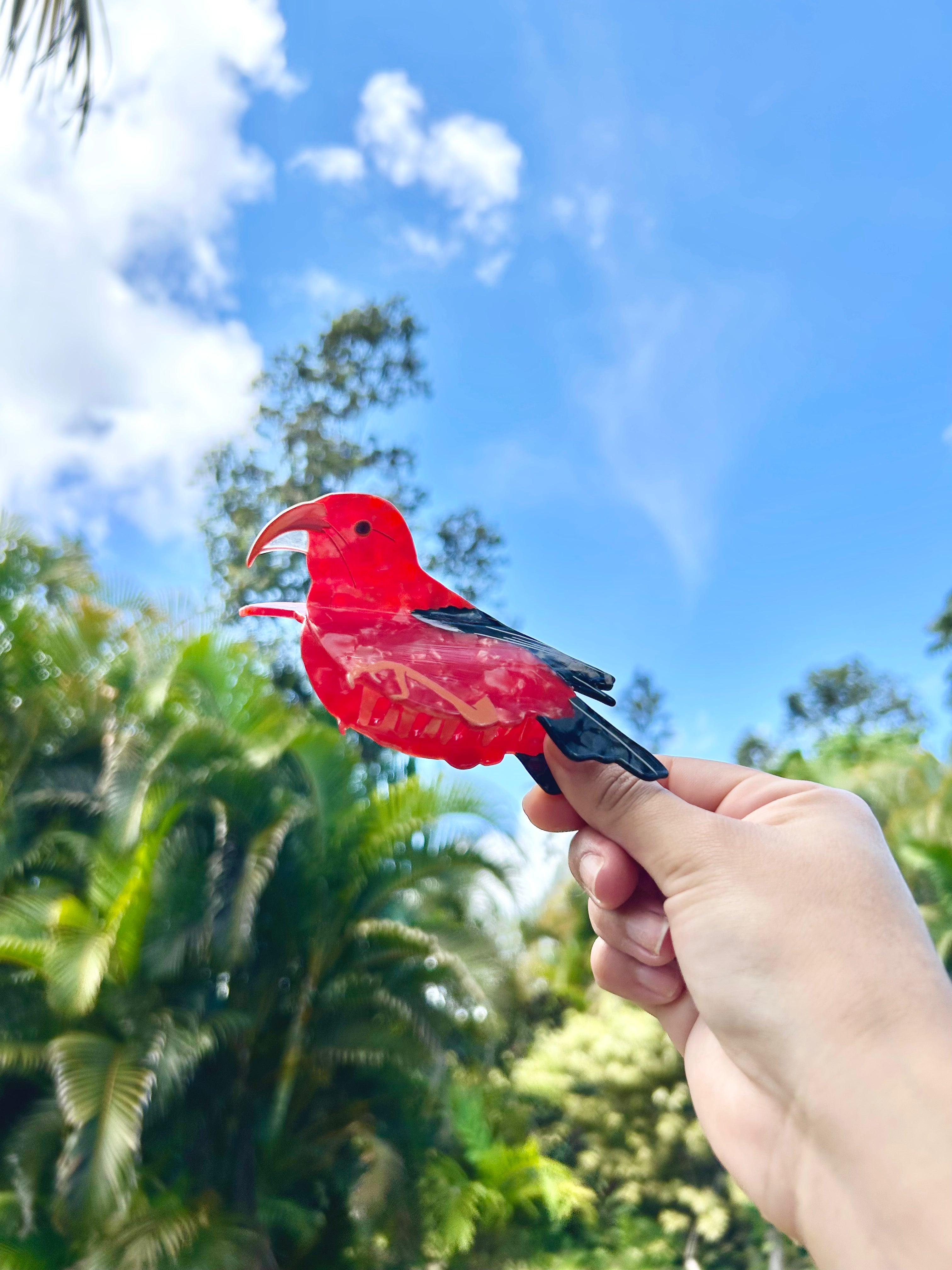 'I'iwi Hair Clip
