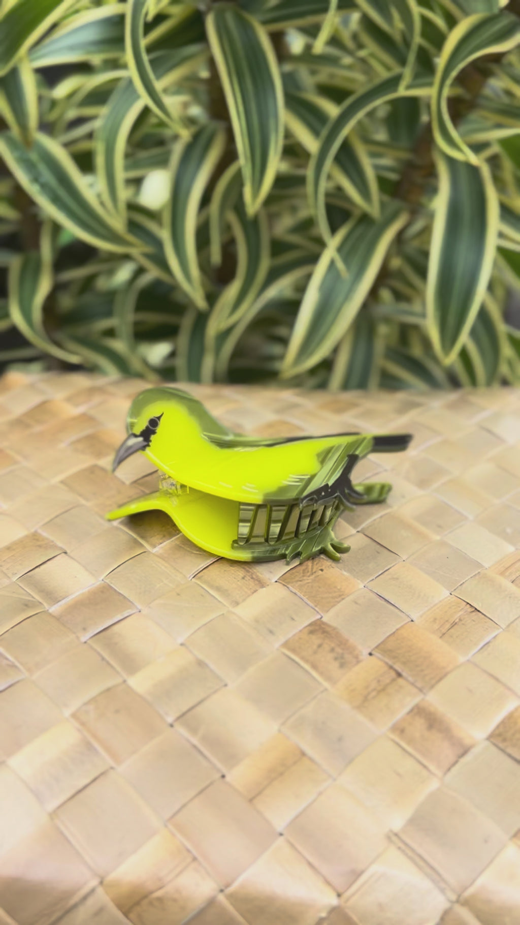 ʻAmakihi Hair Clip